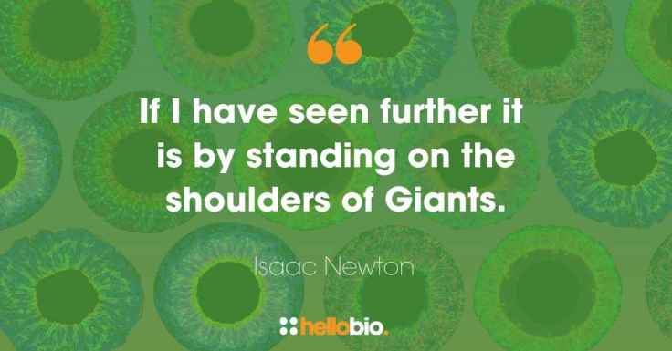 0291cc2688767a58543afa832f36d51e